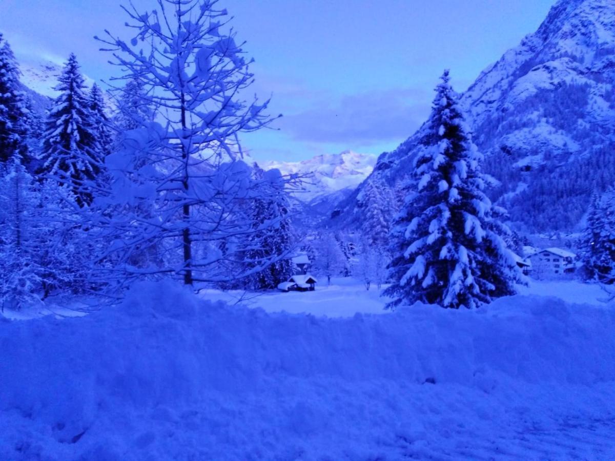 Appartement Quadrifoglio Gressoney-Saint-Jean Extérieur photo